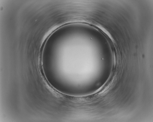 X0000076271101200609281159