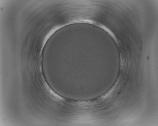 X0000076271102200609281159