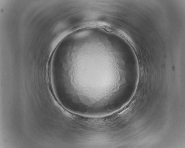 X0000076271103200609281159