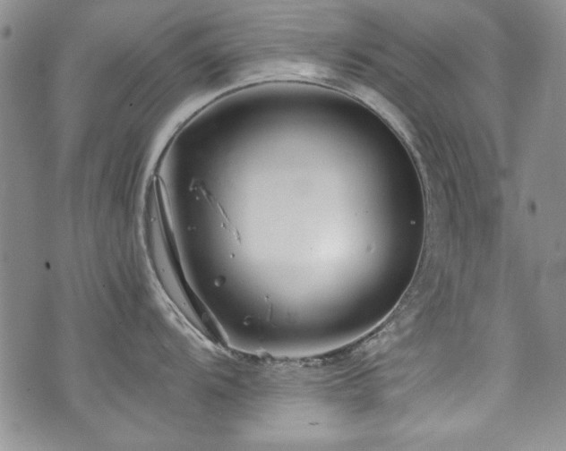 X0000076271104200609281159