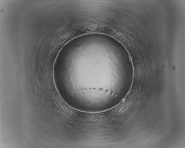 X0000076271105200609281158