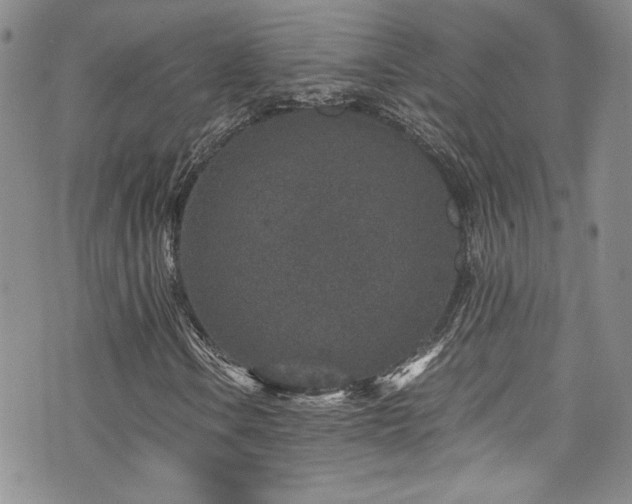 X0000076271106200609281158