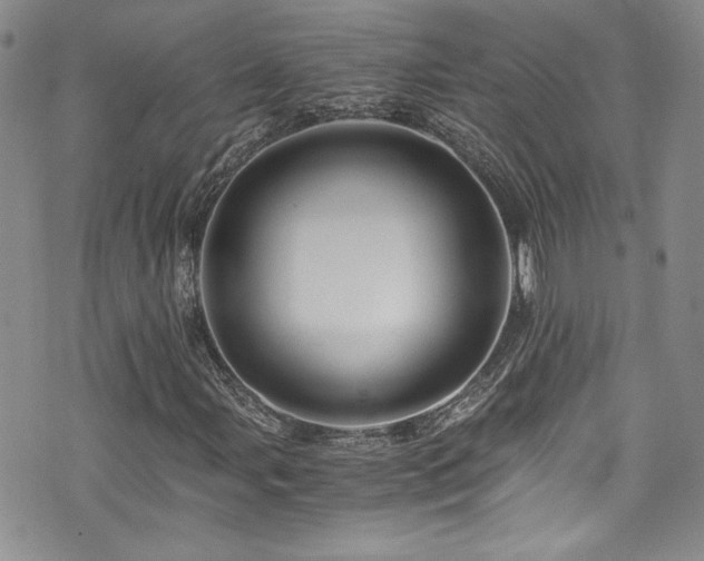 X0000076271107200609281158