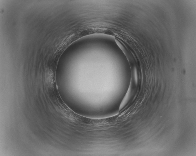 X0000076271108200609281158