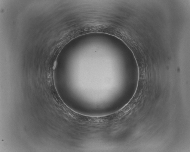 X0000076271109200609281158