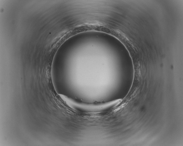 X0000076271110200609281158