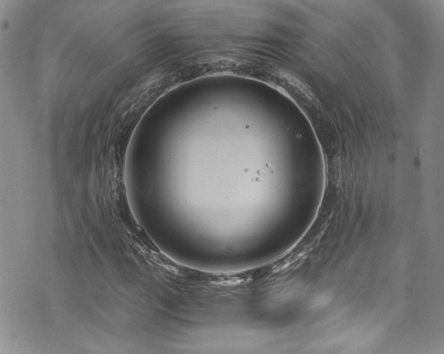 X0000076271111200609281158