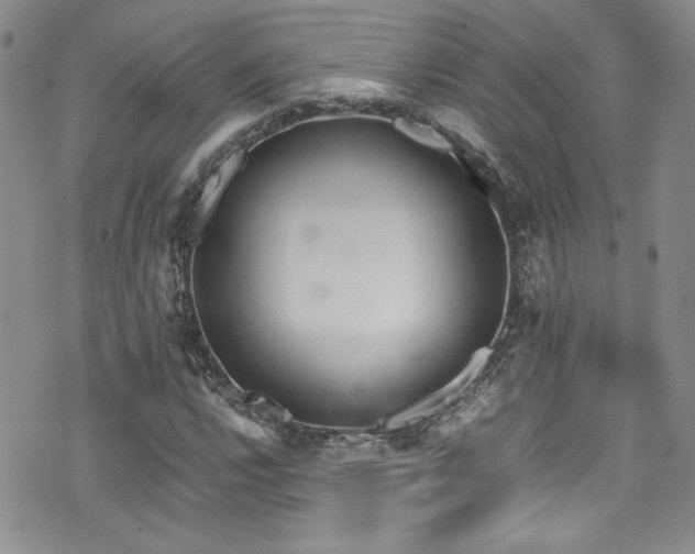 X0000076271112200609281158