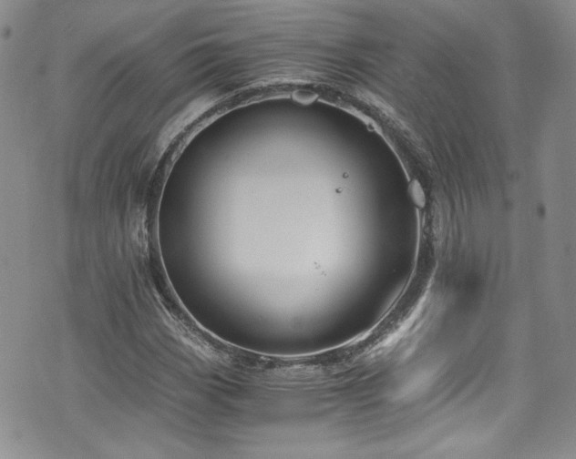 X0000076271113200609281158