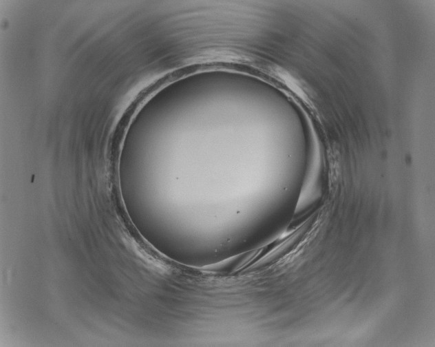 X0000076271116200609281158