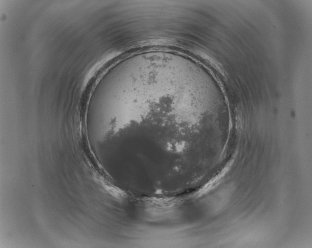 X0000076271117200609281158