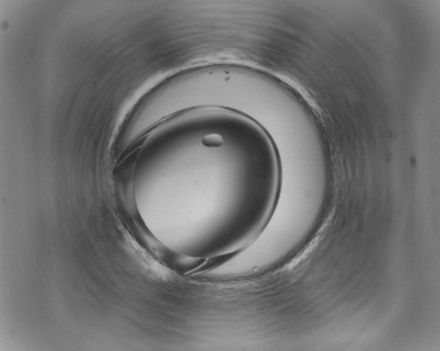 X0000076271118200609281158