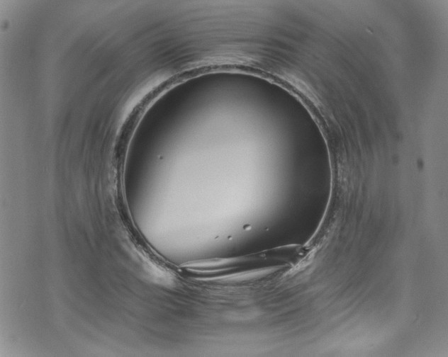 X0000076271119200609281158