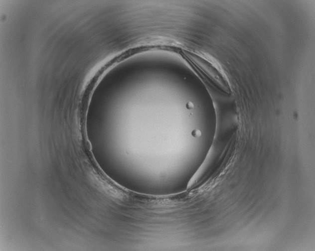 X0000076271120200609281158