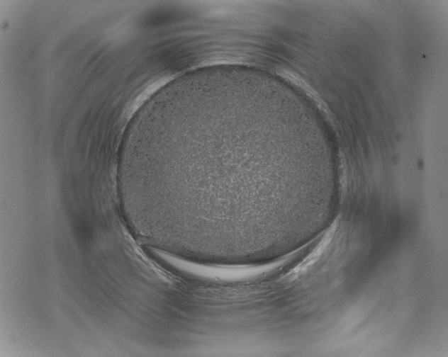 X0000076271121200609281158