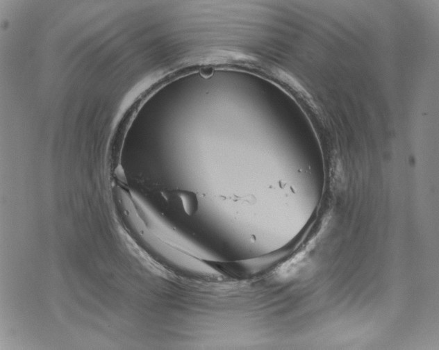 X0000076271122200609281158