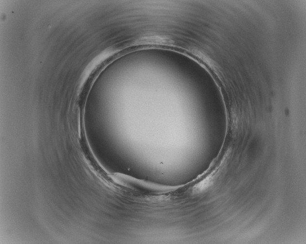 X0000076271123200609281158