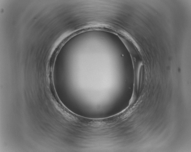 X0000076271124200609281158