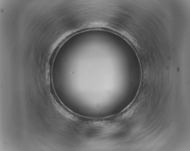 X0000076271126200609281158