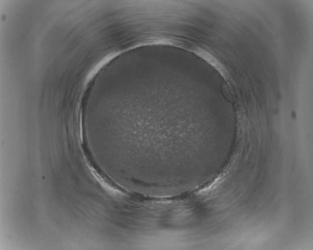 X0000076271127200609281158