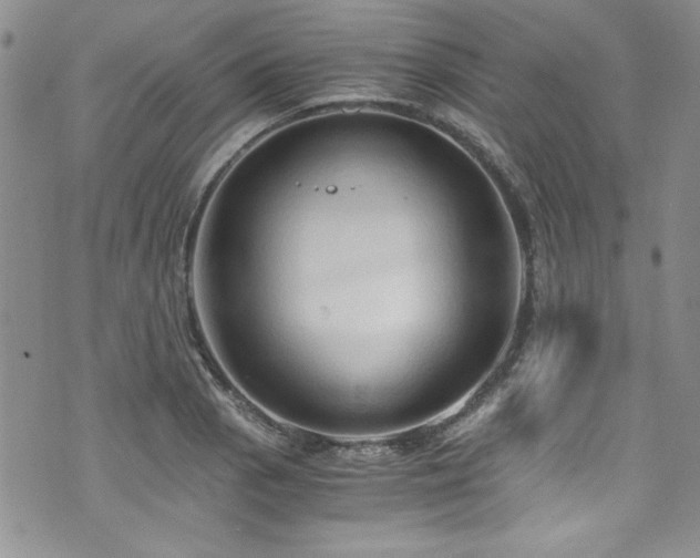 X0000076271129200609281158