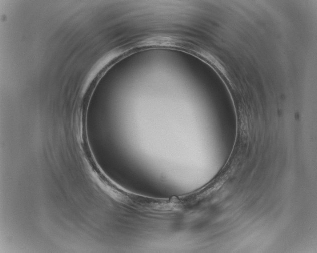 X0000076271131200609281159