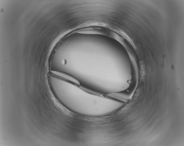 X0000076271132200609281159