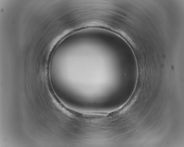 X0000076271134200609281159