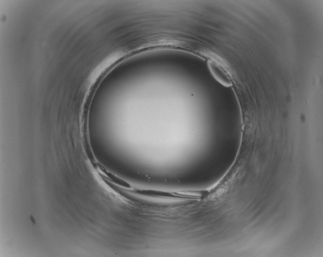 X0000076271135200609281159