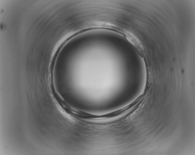 X0000076271136200609281159