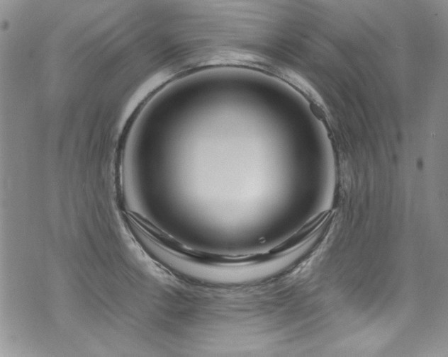 X0000076271138200609281159