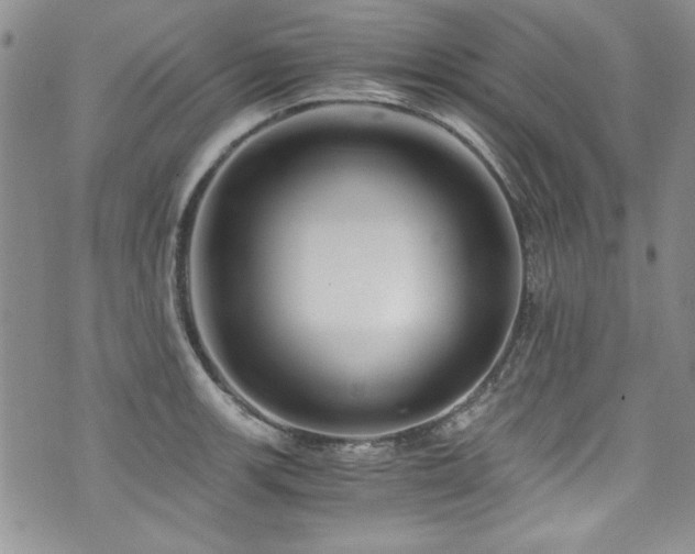 X0000076271139200609281159