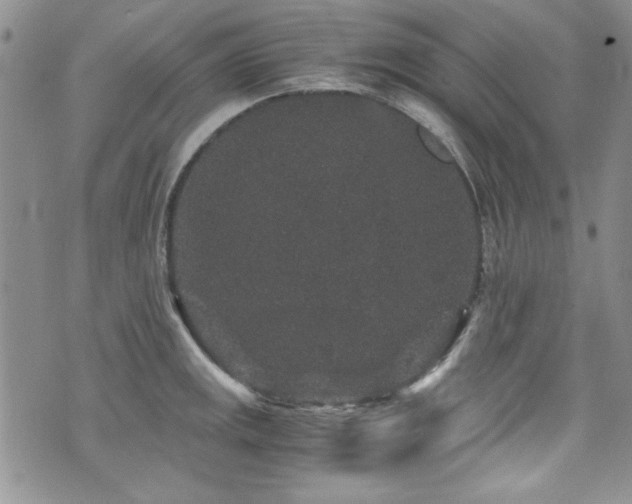 X0000076271141200609281159