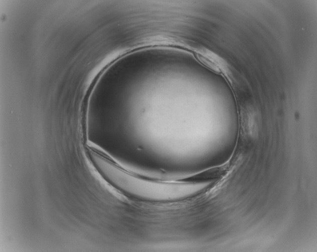 X0000076271142200609281159