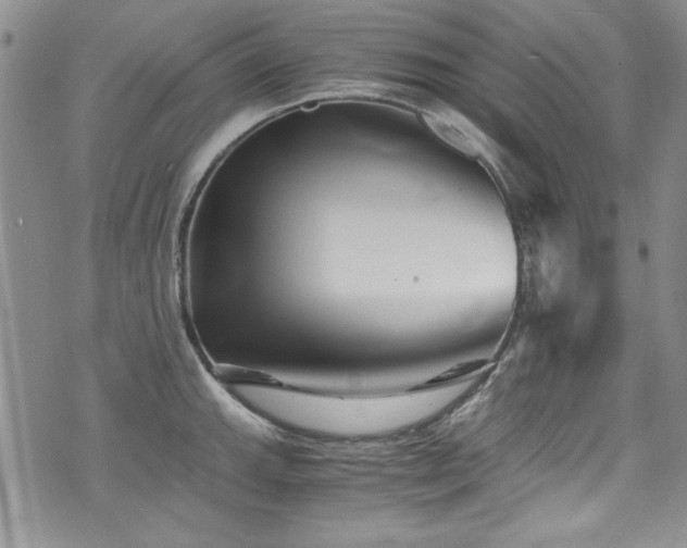 X0000076271143200609281159