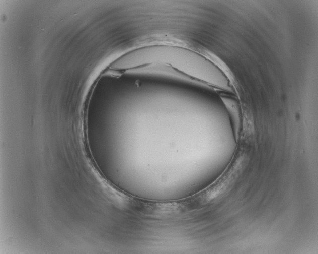 X0000076271144200609281159