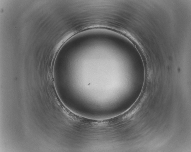 X0000076271145200609281159