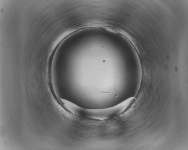 X0000076271147200609281159