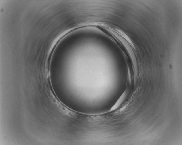 X0000076271148200609281159