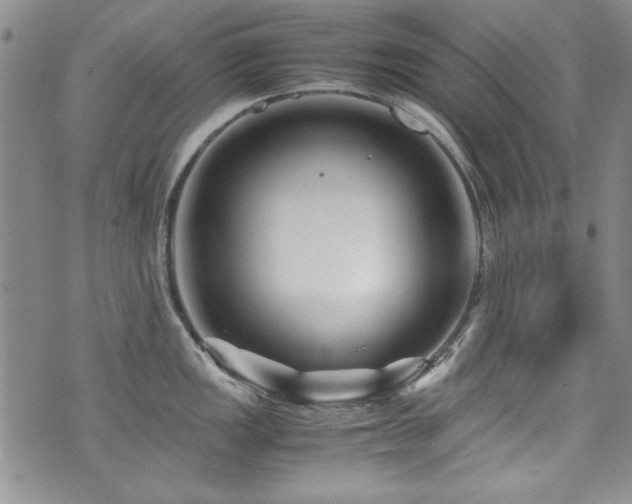 X0000076271149200609281159