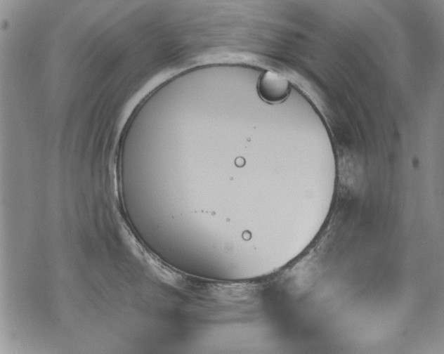 X0000076271150200609281159