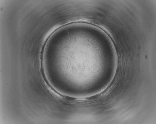 X0000076271151200609281159