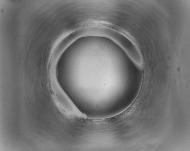 X0000076271152200609281159