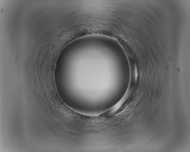 X0000076271153200609281158