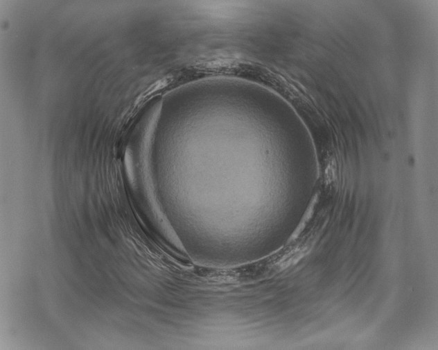 X0000076271156200609281158