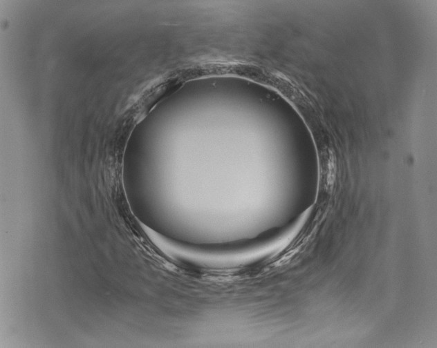 X0000076271157200609281158