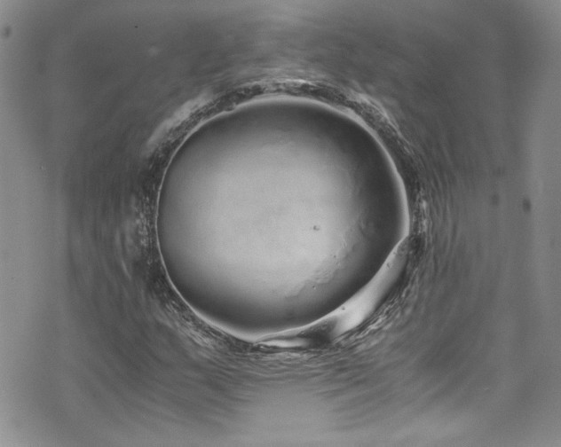 X0000076271159200609281158