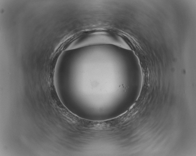 X0000076271160200609281158