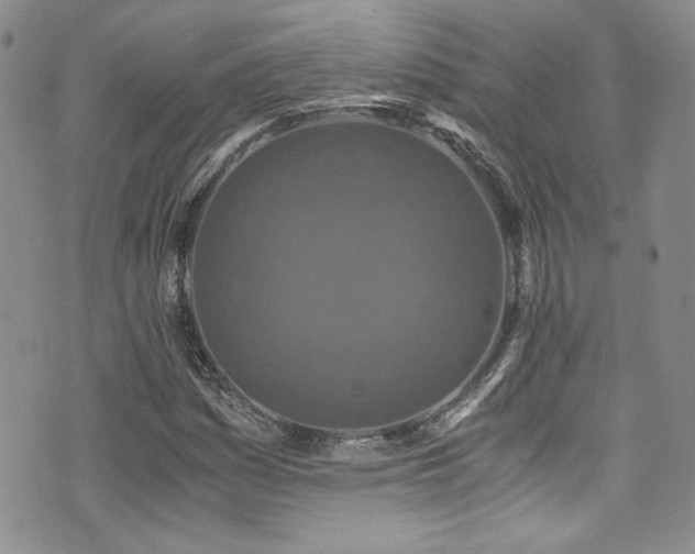 X0000076271161200609281158