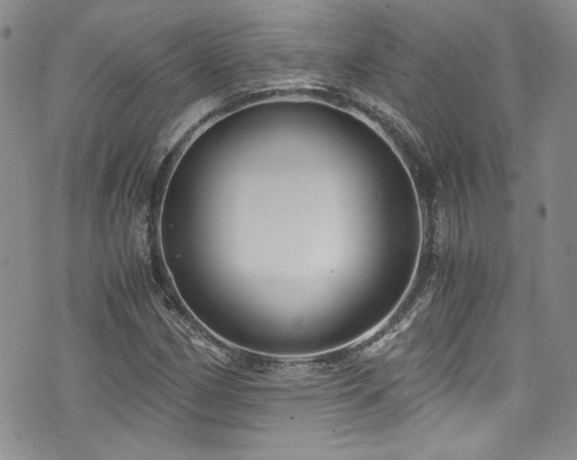 X0000076271162200609281158